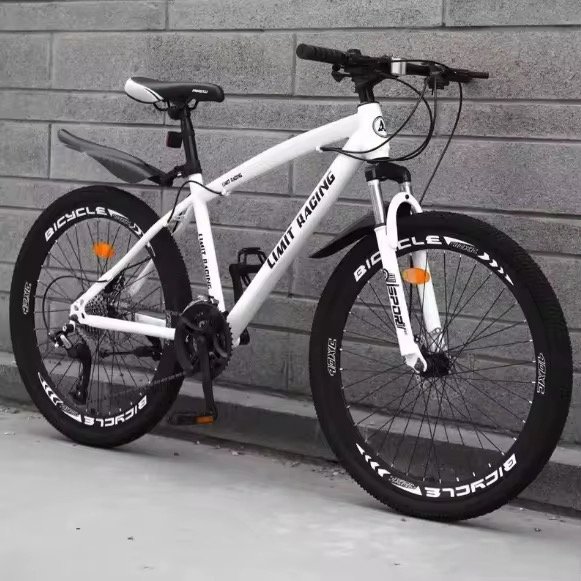 China Factory Inexpensive Mountain Bike 20/22/24/26 Inch 21/24 Speed Adult Bike Student Bike