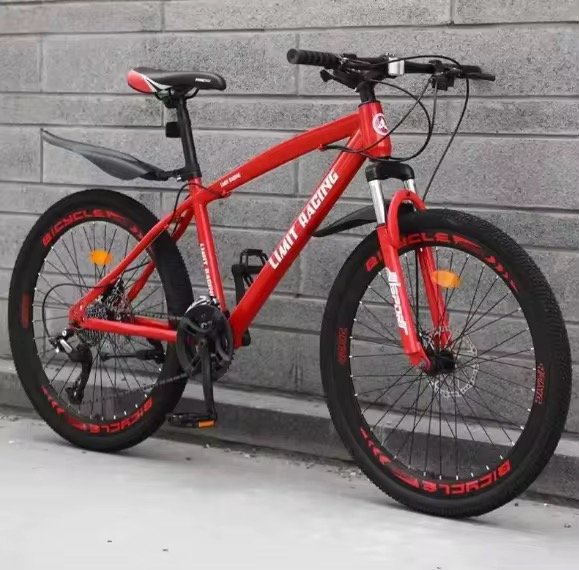 China Factory Inexpensive Mountain Bike 20/22/24/26 Inch 21/24 Speed Adult Bike Student Bike