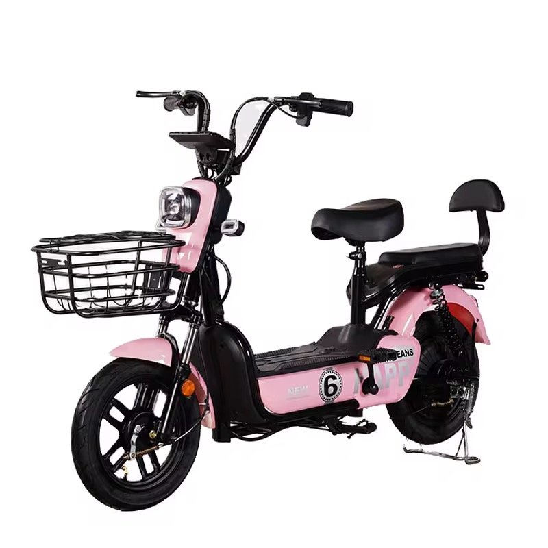 48V12/20Ah 350W/500W 2 Seater Electric Bike Electric Bicycles for Adult