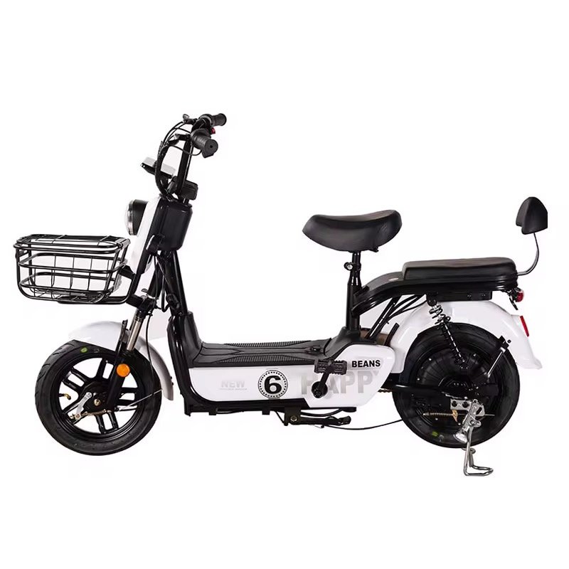 48V12/20Ah 350W/500W 2 Seater Electric Bike Electric Bicycles for Adult