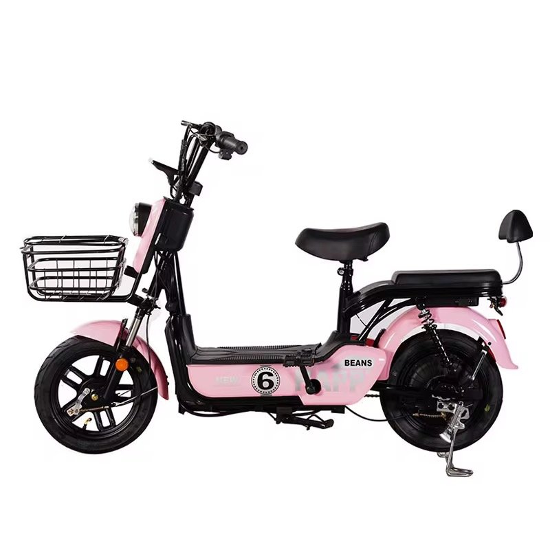 48V12/20Ah 350W/500W 2 Seater Electric Bike Electric Bicycles for Adult