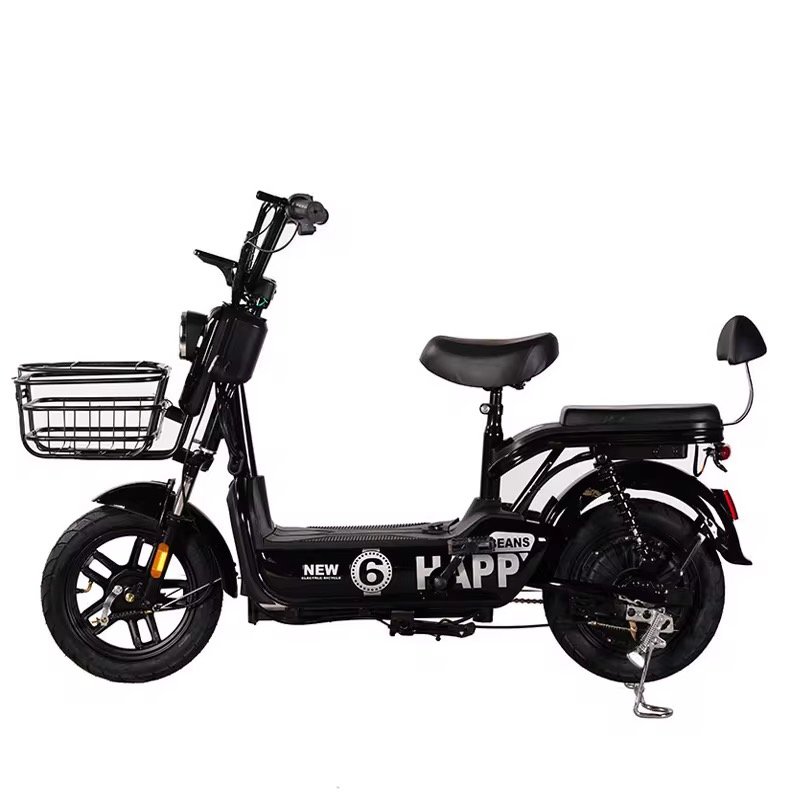 48V12/20Ah 350W/500W 2 Seater Electric Bike Electric Bicycles for Adult