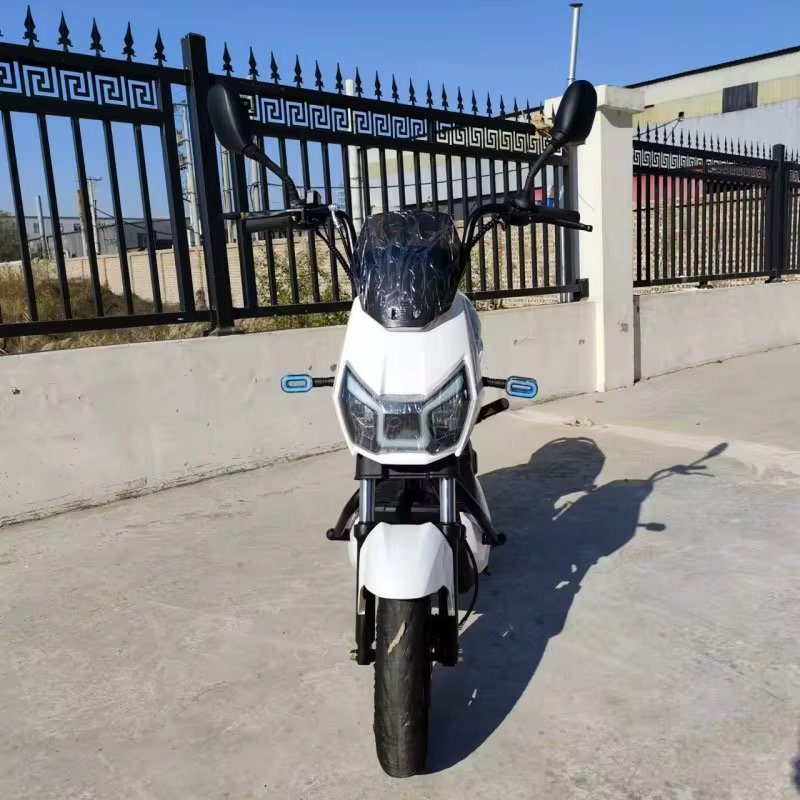High-speed Disc Brake Scooter Electric Moped Steel Frame E Motorbike 2 Seat Mobility 1000w Adult Electric Bike Motorcycle