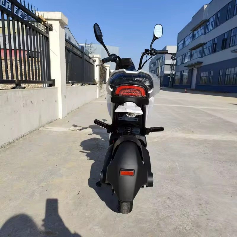 High-speed Disc Brake Scooter Electric Moped Steel Frame E Motorbike 2 Seat Mobility 1000w Adult Electric Bike Motorcycle