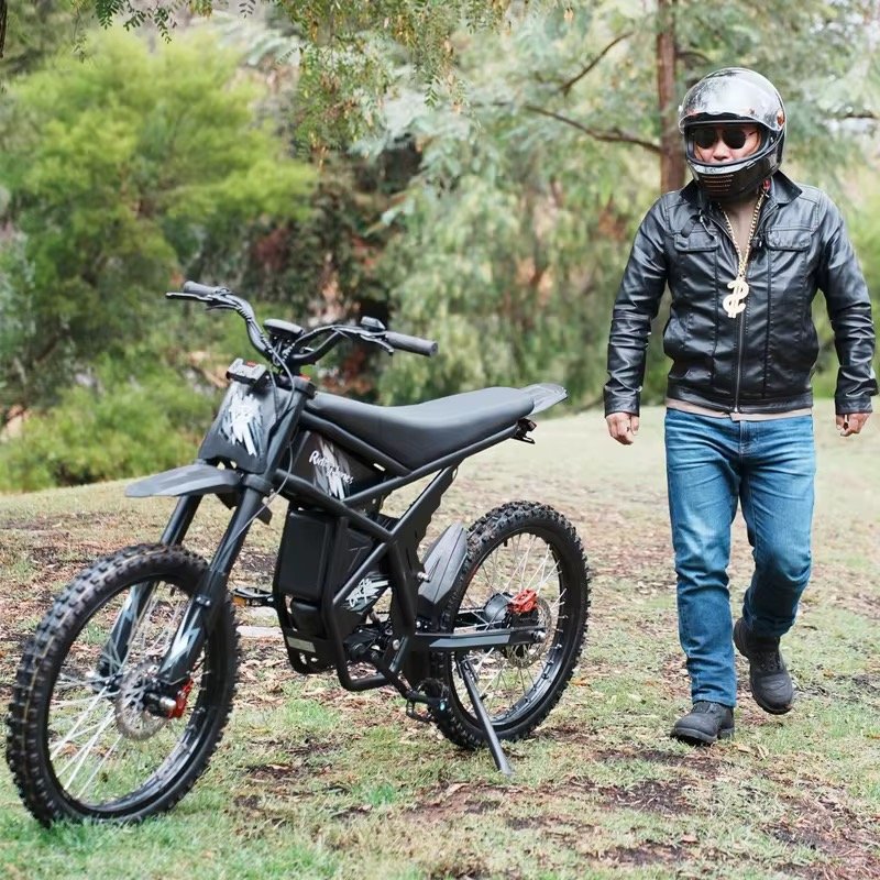 Ridingtimes GT73 Bicicleta Electrica Electric Tricycles Electric Mountain Dirt Fat Bike Adult
