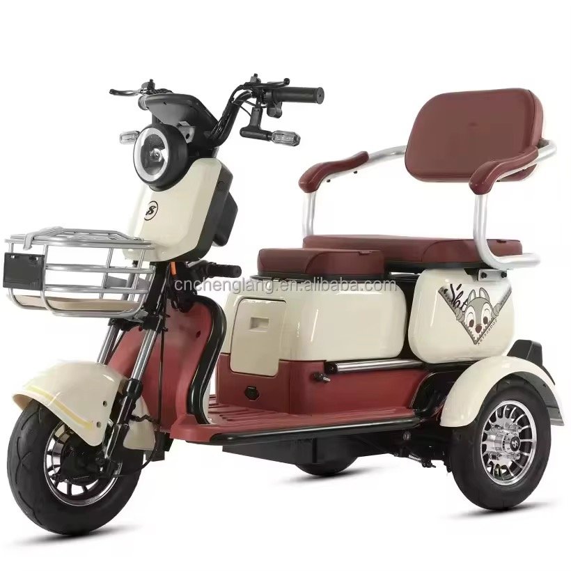 2025 Factory Hot Selling NEW Electric Tricycles 3 Wheel Electric Scooter 800W 1000W Tricycle