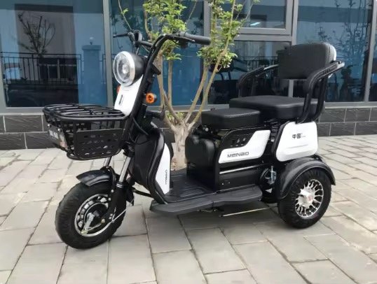 2025 Factory Hot Selling NEW Electric Tricycles 3 Wheel Electric Scooter 800W 1000W Tricycle