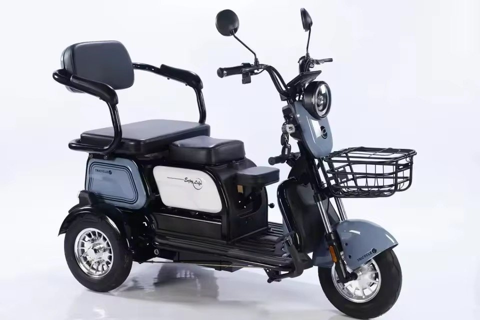 2025 China New Model Electric Tricycle Cargo Vehicle EEC Certified 3-Wheel Mobility Electric Tricycle for Adults Use Passenger