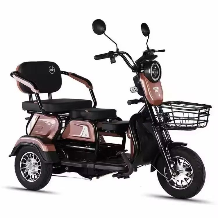 2025 China New Model Electric Tricycle Cargo Vehicle EEC Certified 3-Wheel Mobility Electric Tricycle for Adults Use Passenger