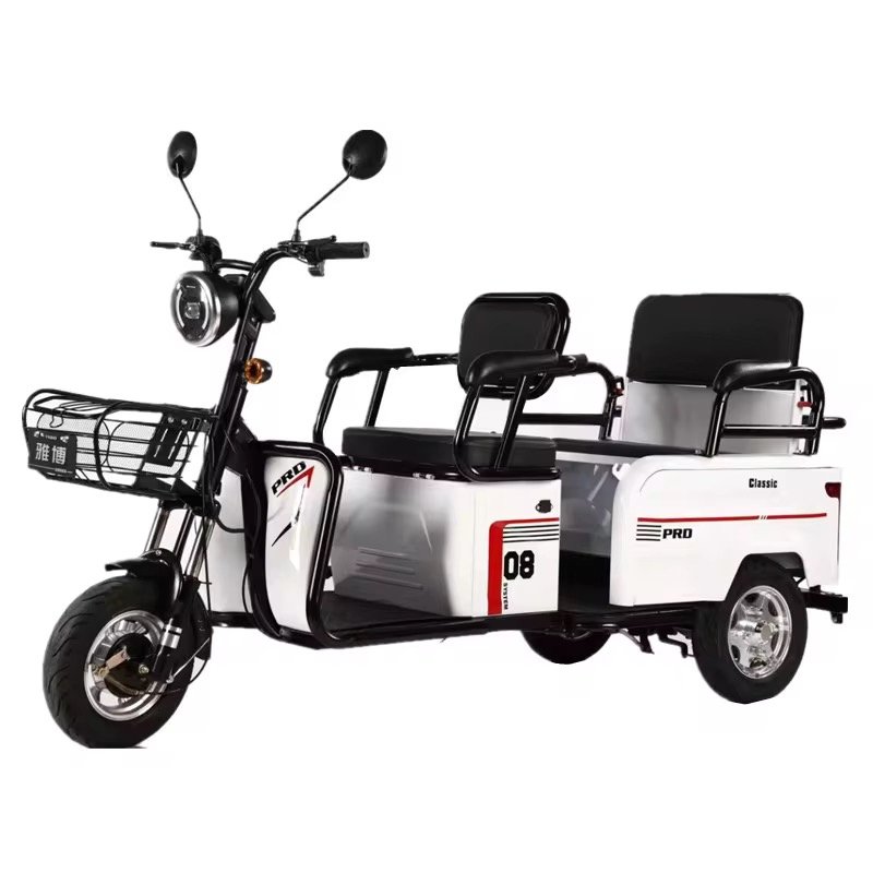 48V/60V High Quality Electric Bicycle Adult Electric Bicycle City 600W Electric Tricycle Freight Tricycle