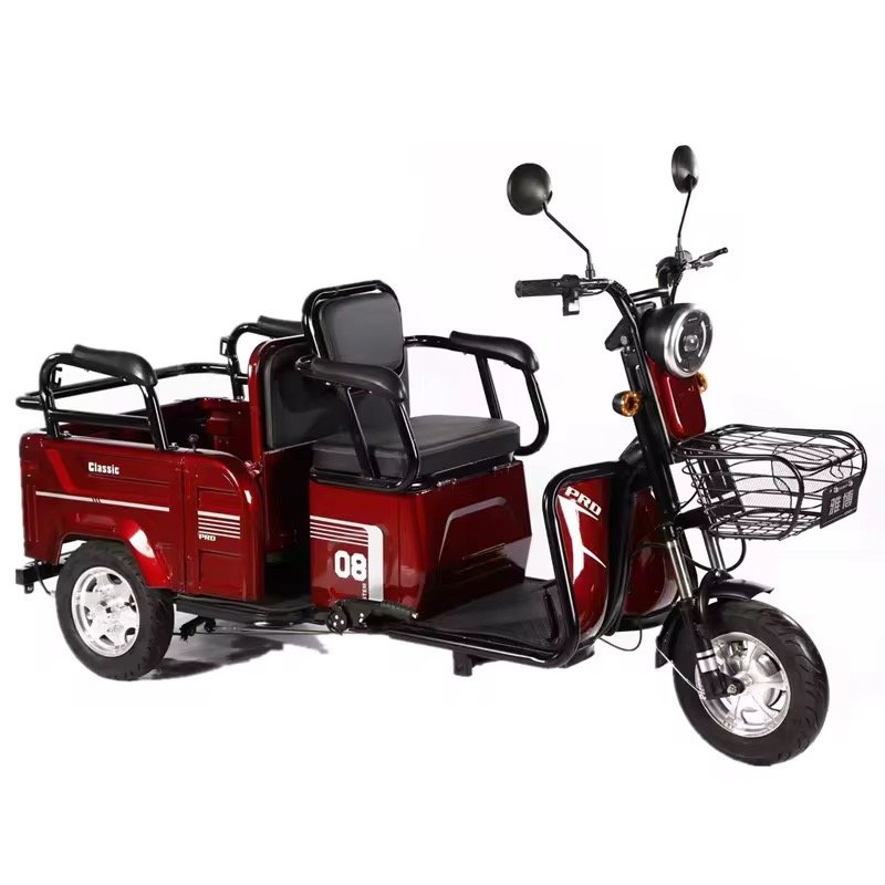48V/60V High Quality Electric Bicycle Adult Electric Bicycle City 600W Electric Tricycle Freight Tricycle