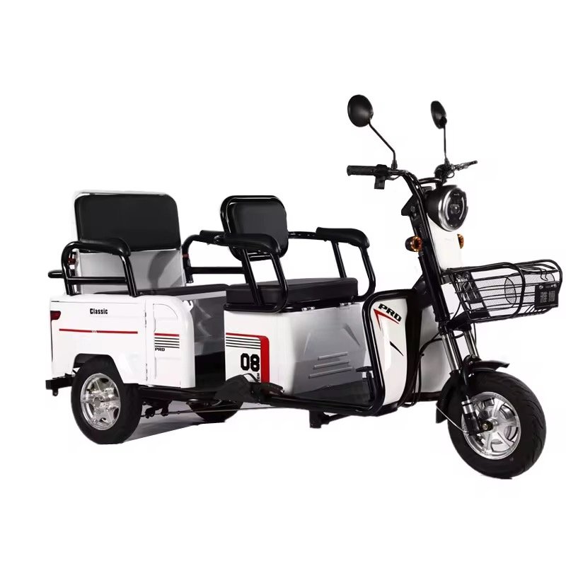48V/60V High Quality Electric Bicycle Adult Electric Bicycle City 600W Electric Tricycle Freight Tricycle