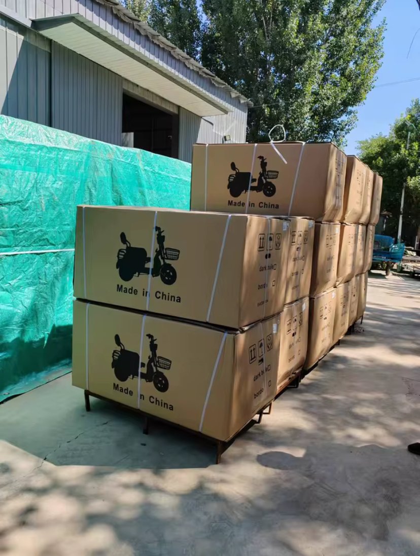 48V/60V High Quality Electric Bicycle Adult Electric Bicycle City 600W Electric Tricycle Freight Tricycle