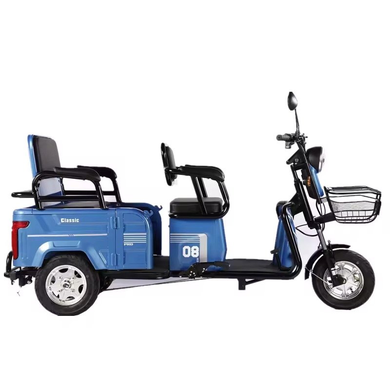 48V/60V High Quality Electric Bicycle Adult Electric Bicycle City 600W Electric Tricycle Freight Tricycle