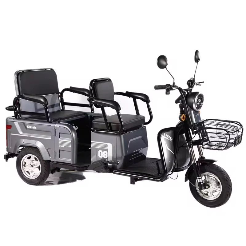 48V/60V High Quality Electric Bicycle Adult Electric Bicycle City 600W Electric Tricycle Freight Tricycle