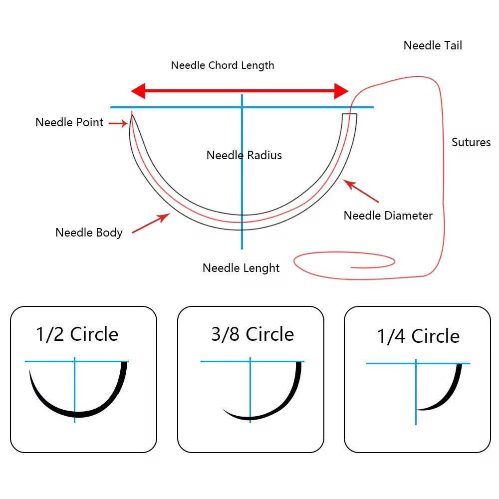 Absorbable surgical sutures