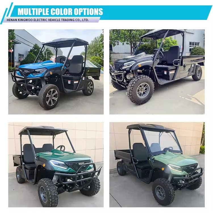 4x4 Electric UTV 10.5kw automatic electric vehicle