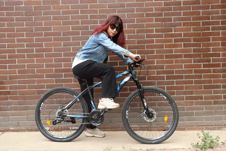 2024 Wholesale 26 /29 Inch Bike Bicicleta 21 Speed Mountain Bike Full Suspension Downhill Bicycle/ bikes for Adults/Mens CYCLES